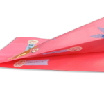 ZW-SC600 无纺布风琴手提袋制袋机