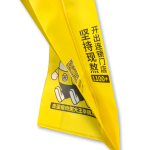 ZW-SC600 无纺布风琴手提袋制袋机