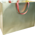 ZW-A12 平底无腰线扁绳纸袋机