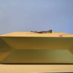 ZW-A12 平底无腰线扁绳纸袋机